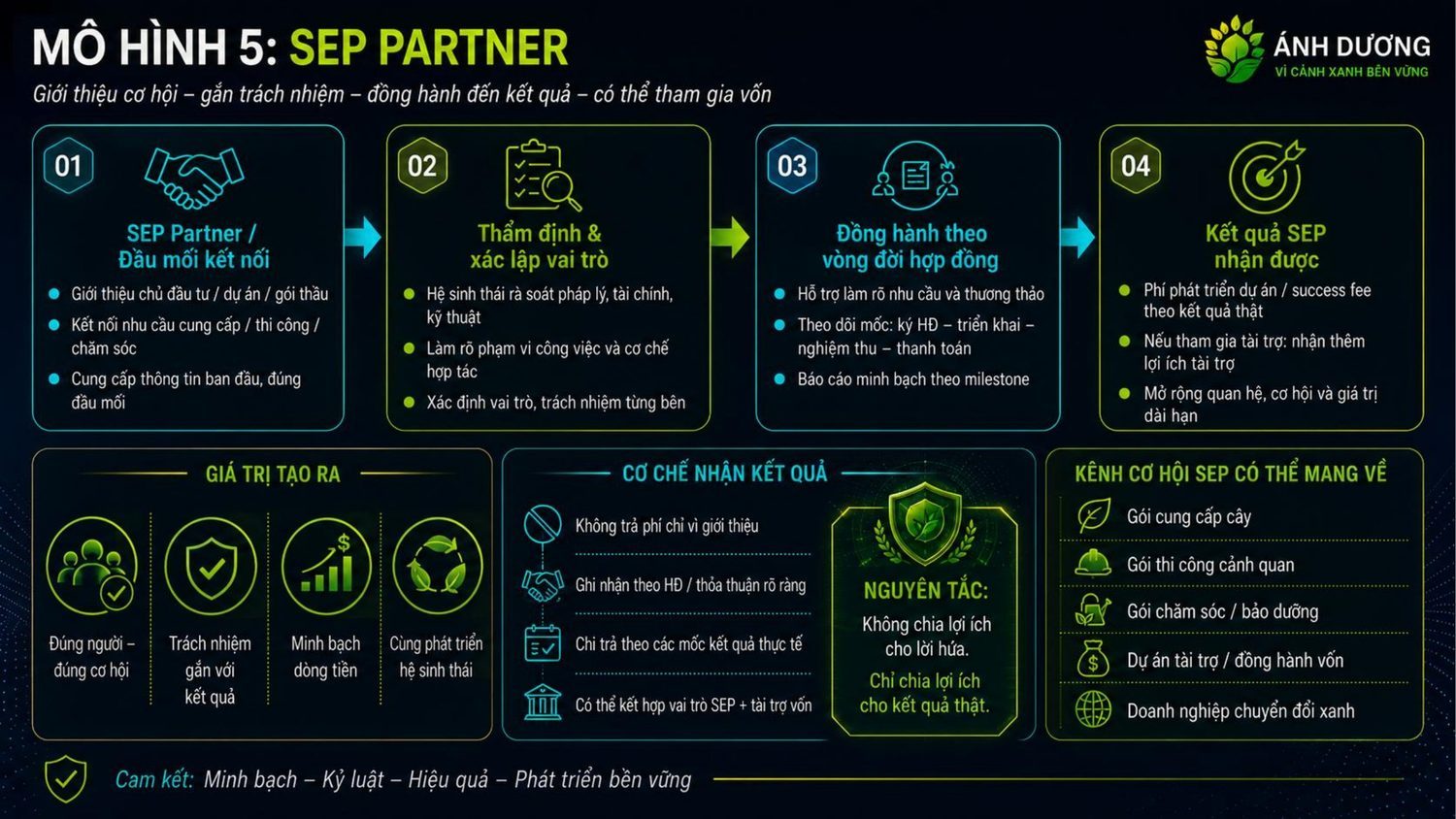 Infographic - SEP Partner