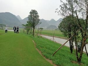 Vườn ươm Phú Yên 3