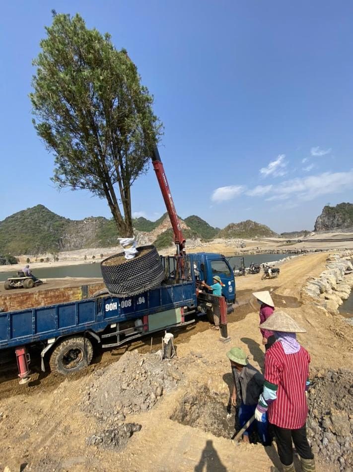 Cẩu cây thực địa