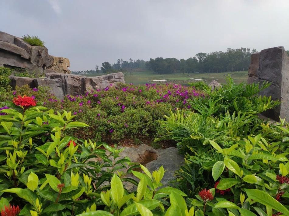Tiểu cảnh hoa bụi kết hợp đá tự nhiên sân golf